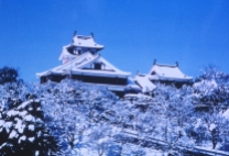 Fukuchiyama-jo Castle (Snow)